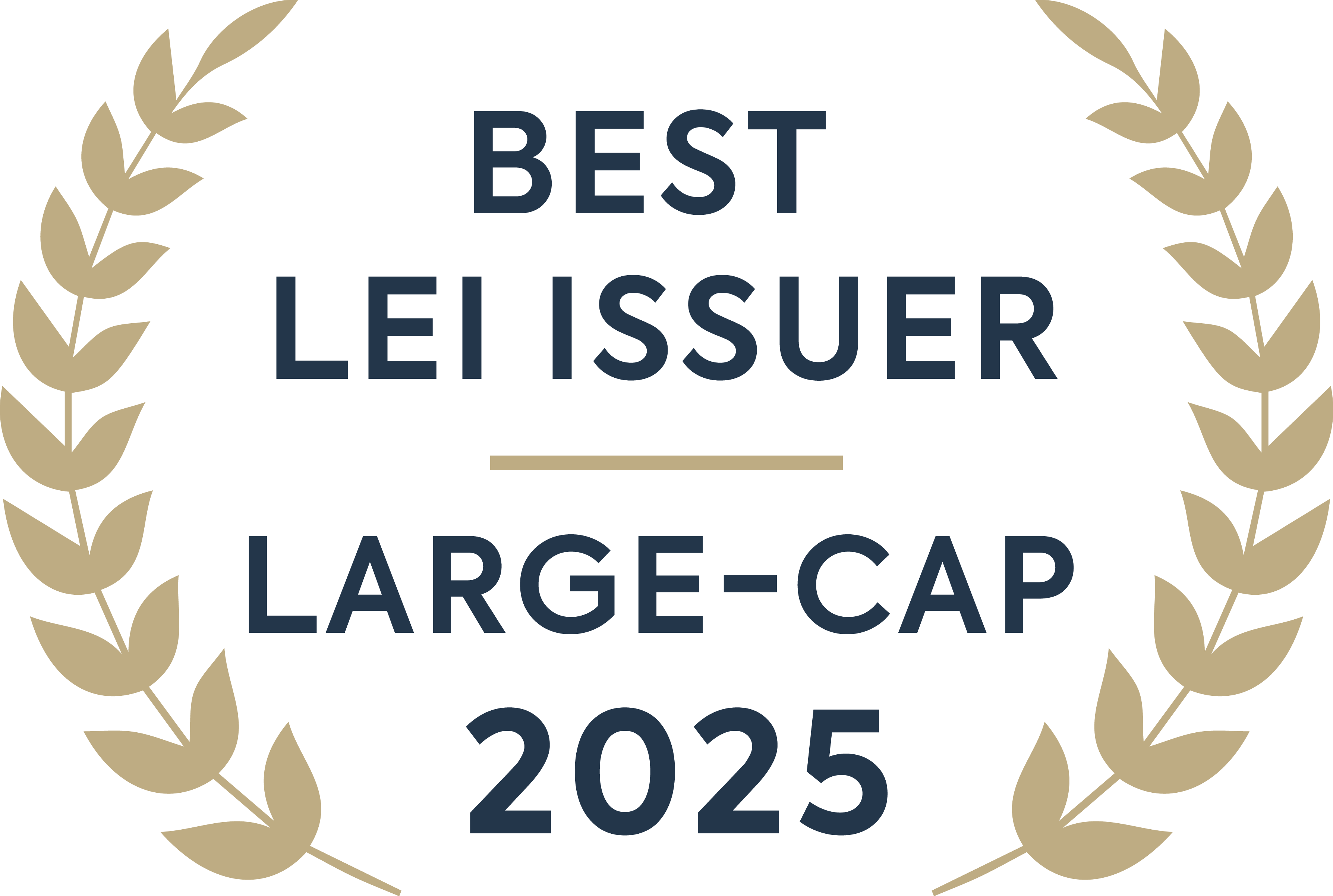 GLEIF Best LEI Issuer 2025 large cap